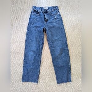 Everlane Way High Jeans